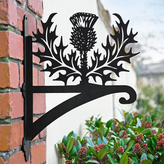 "Scottish Thistle" Garden Hanging Basket Bracket