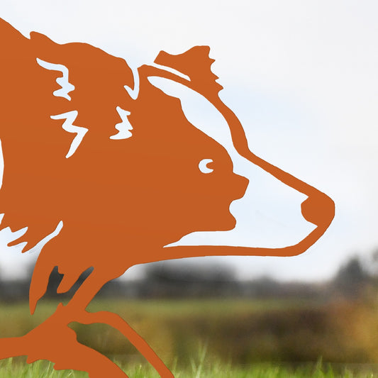 Close Up Of Border Collie Sheepdog Garden Sheet Steel Silhouette In Orange