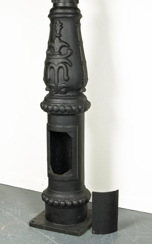 Lamp Post Inspection Panel