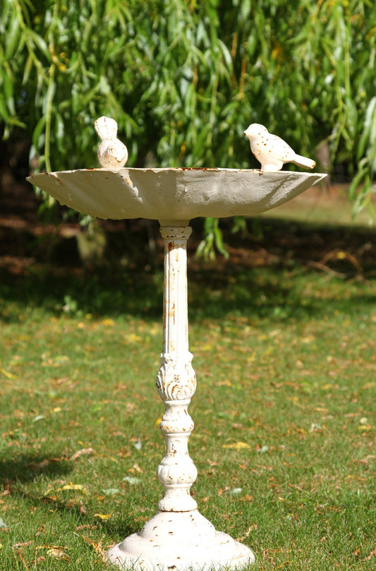 Primrose Garden Bird Bath