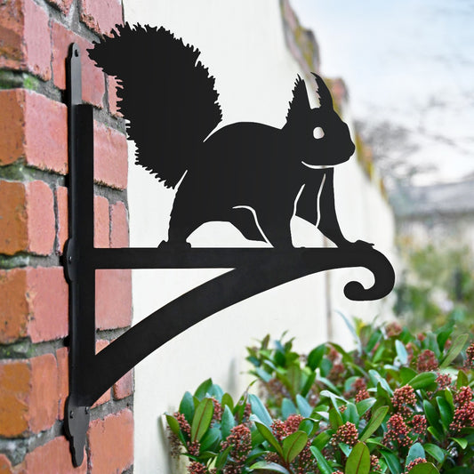 "Red Squirrel" Garden Hanging Basket Bracket In Situ