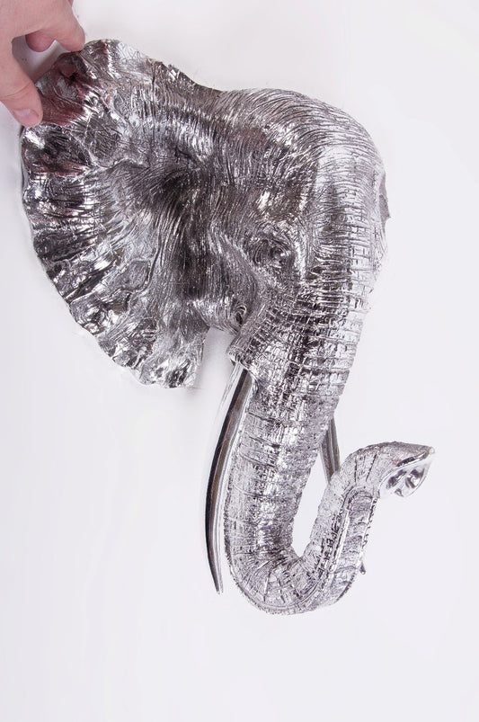 elephant bust head