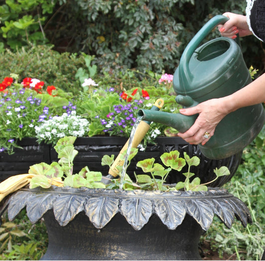 watering can and planter