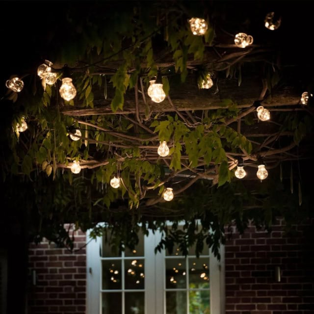 'Rosewood' Hanging Bulb Lights - 20 Lights - thumbnail
