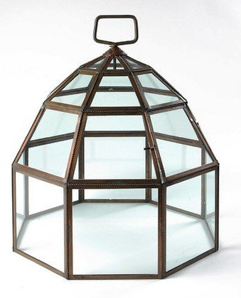 The Canterbury Garden Cloche