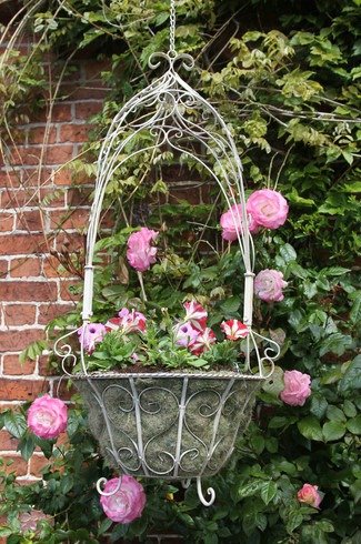 Aurelia Hanging Basket