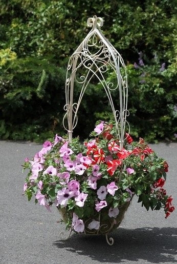 Aurelia Hanging Basket