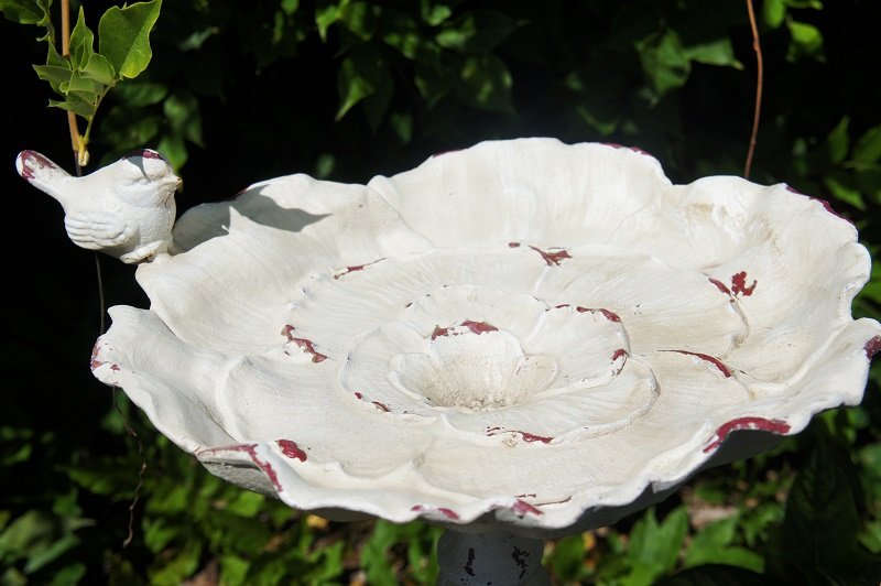 Queen’s Rose Floral Bird Bath