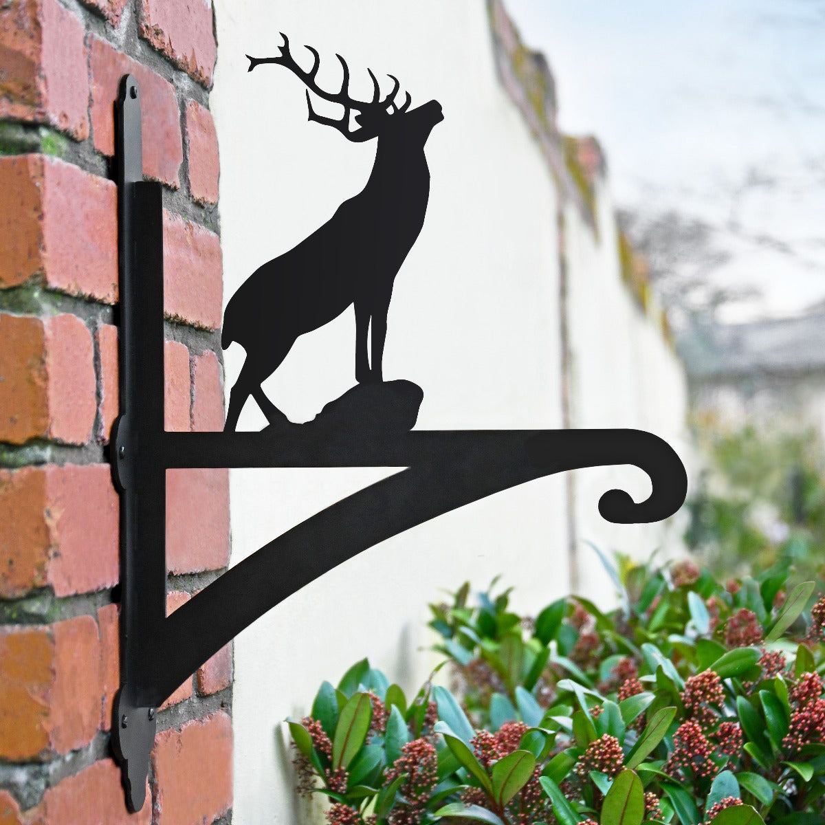 "Stag" Garden Hanging Basket Bracket In Situ