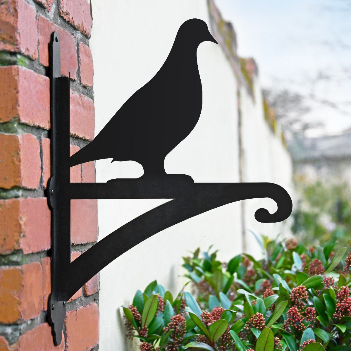 "Pigeon" Garden Hanging Basket Bracket In Situ