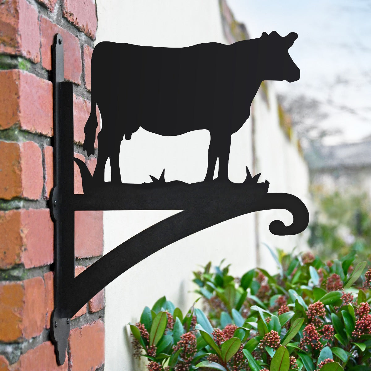 "Cow" Garden Hanging Basket Bracket In Situ