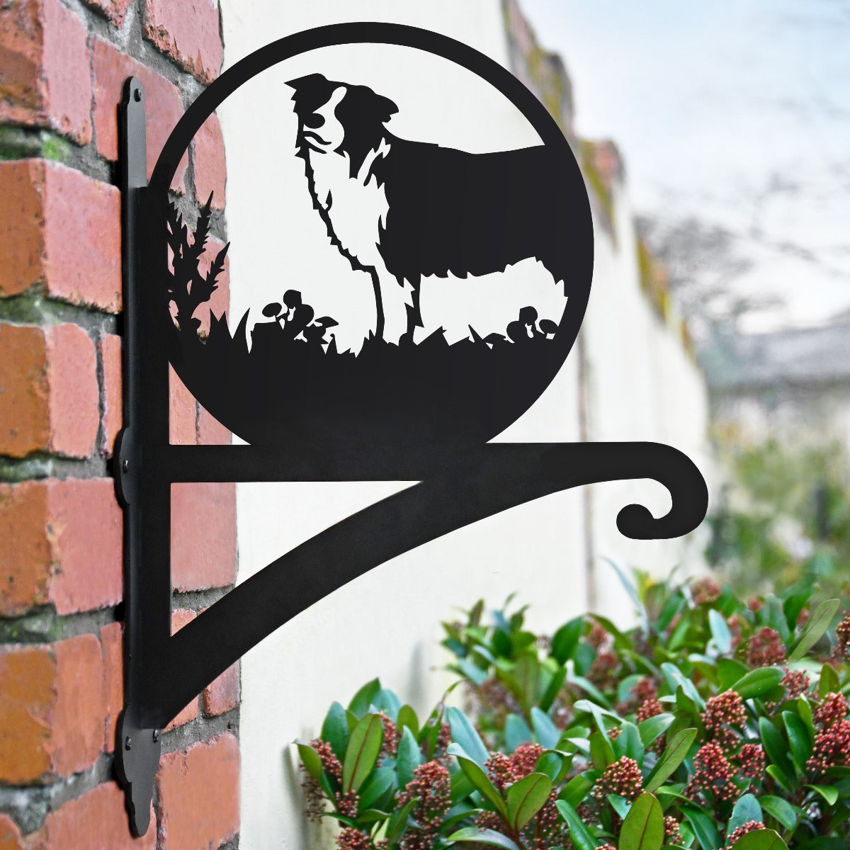 "Border Collie" Dog Garden Hanging Basket Bracket