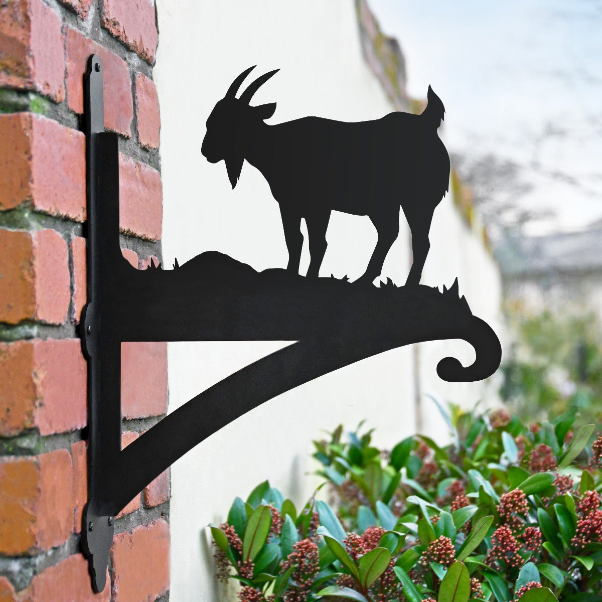 "Mountain Goat" Garden Hanging Basket Bracket In Situ