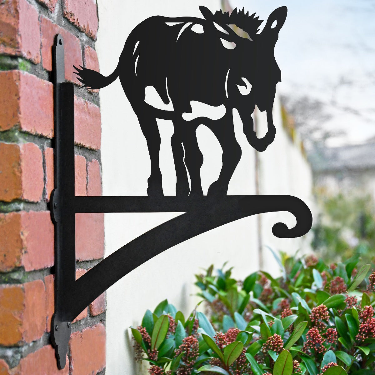 "Donkey" Garden Hanging Basket Bracket In Situ