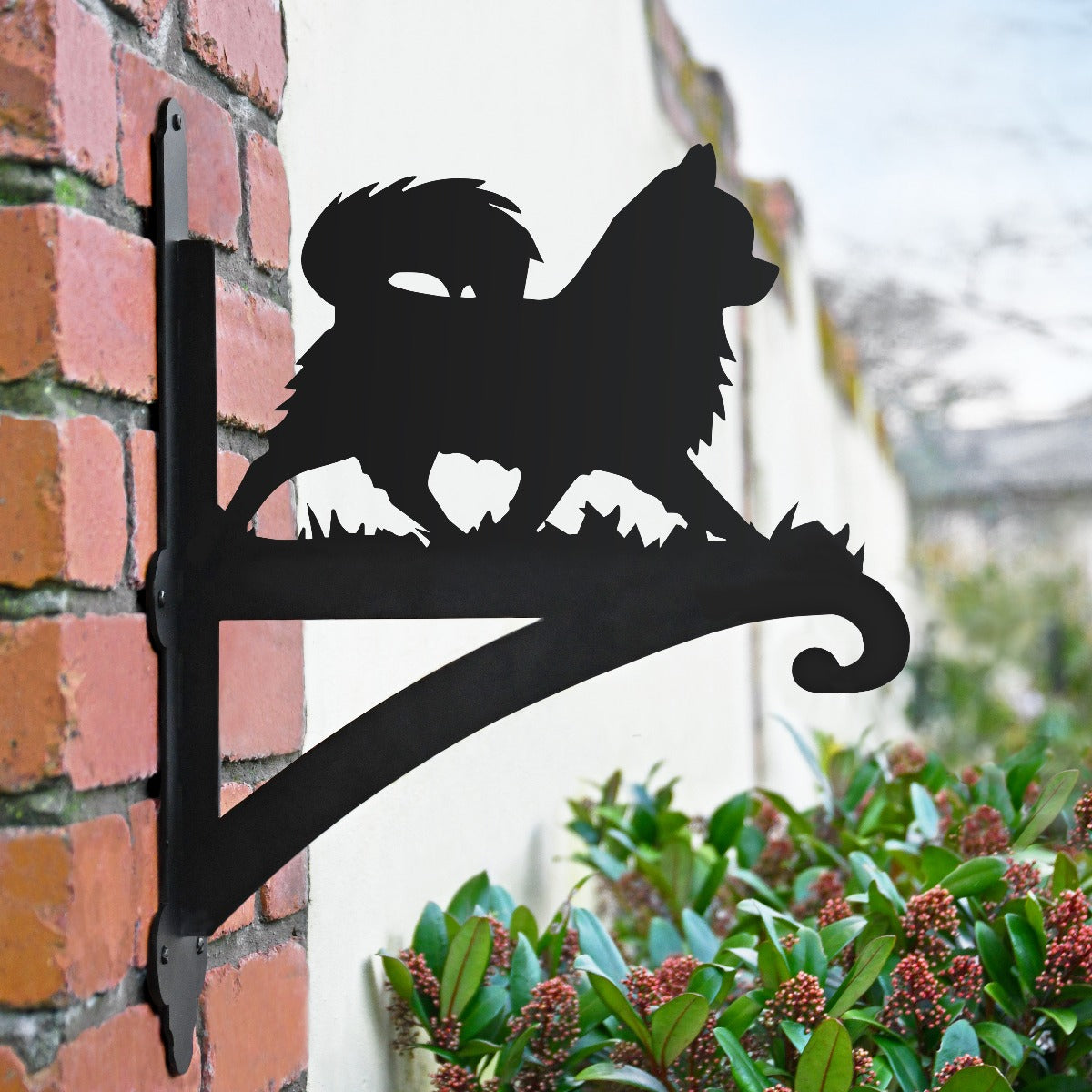 "Chihuahua" Dog Garden Hanging Basket Bracket In Situ