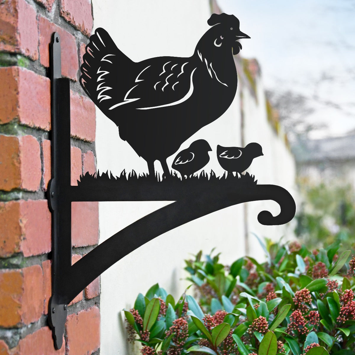 "Hen and Chicks" Garden Hanging Basket Bracket