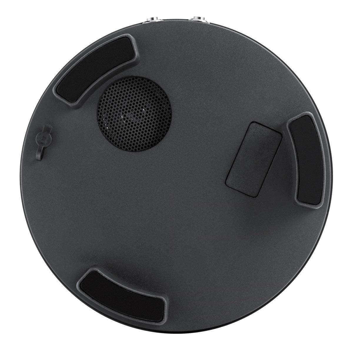 View of the speaker