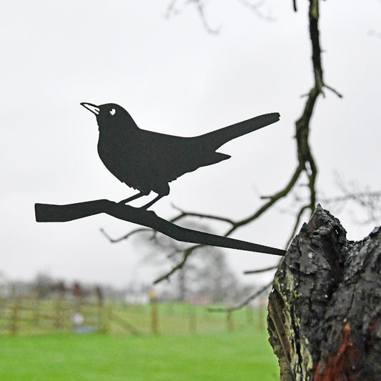 Blackbird Garden Sheet Steel Tree Spike In Black