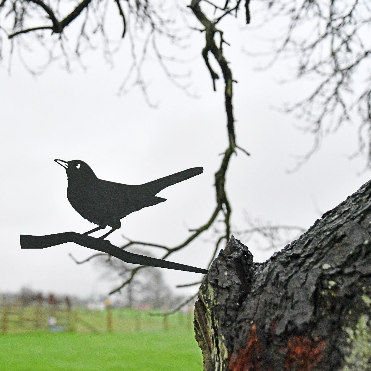 Blackbird Garden Sheet Steel Tree Spike In Black