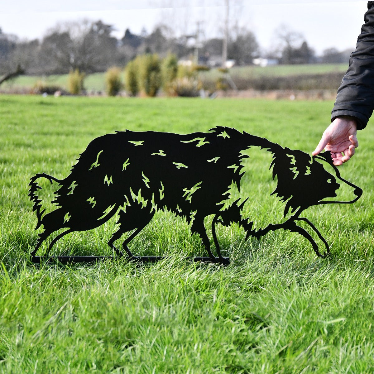 Border Collie Sheepdog Garden Sheet Steel Silhouette In Black Scale