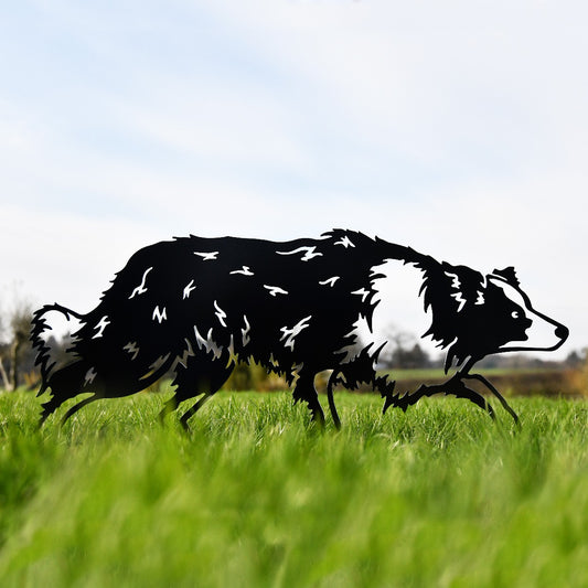 Border Collie Sheepdog Garden Sheet Steel Silhouette In Black