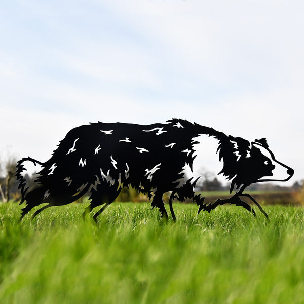 Border Collie Sheepdog Garden Sheet Steel Silhouette In Black