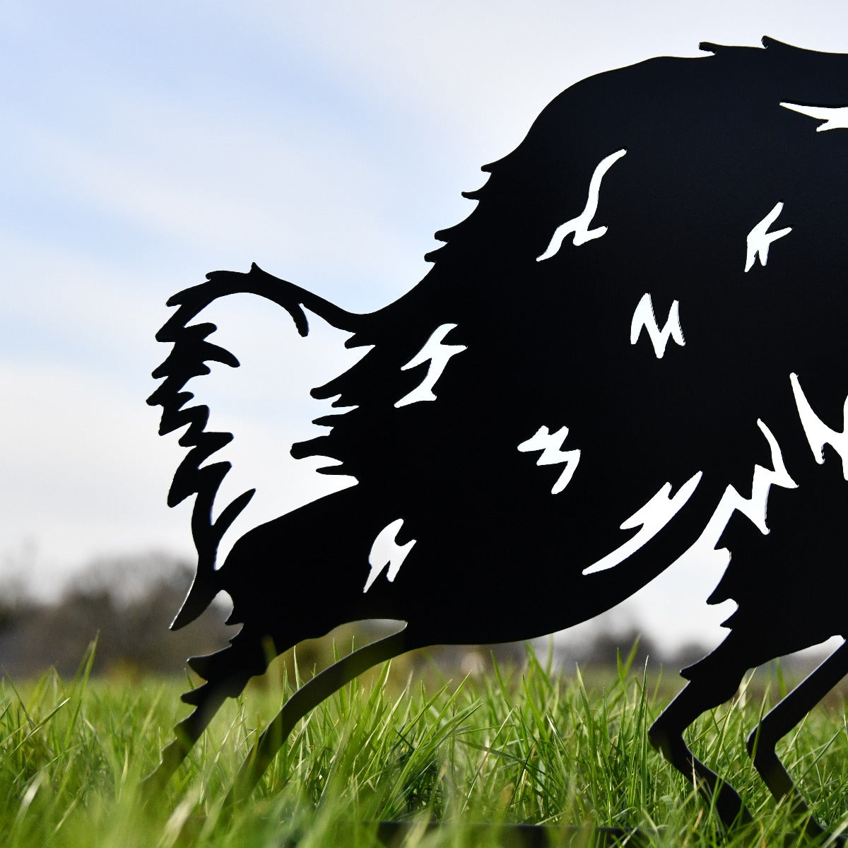 Close Up Of Border Collie Sheepdog Garden Sheet Steel Silhouette In Black