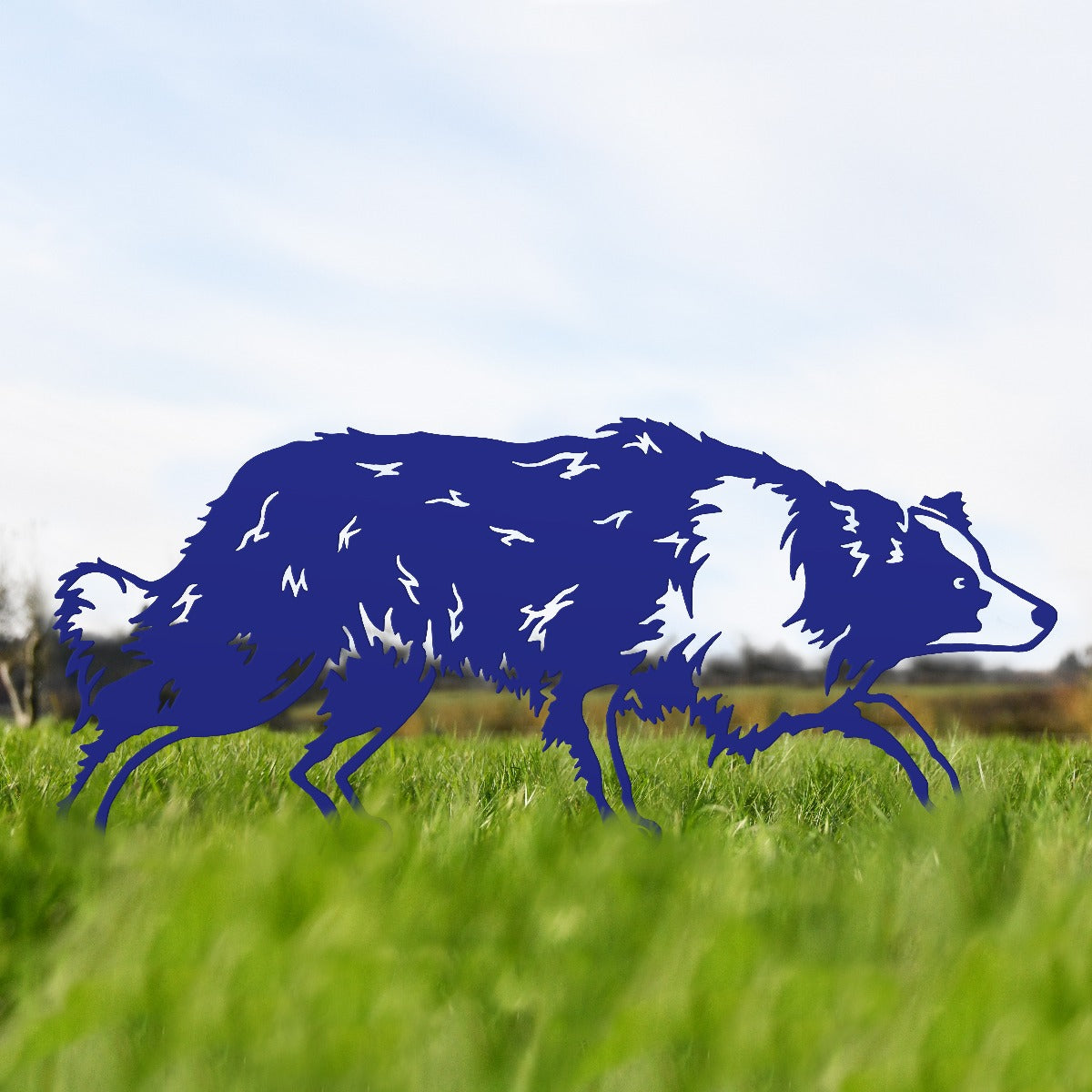 Border Collie Sheepdog Garden Sheet Steel Silhouette In Blue