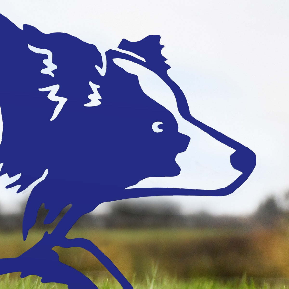 Border Collie Sheepdog Garden Sheet Steel Silhouette In Blue
