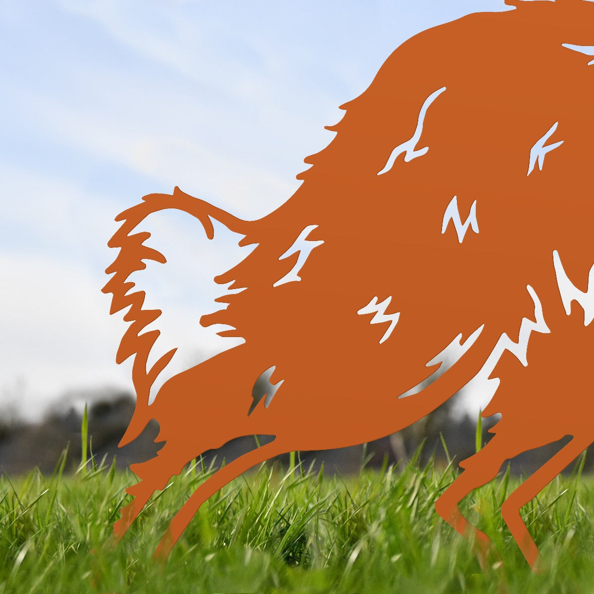 Border Collie Sheepdog Garden Sheet Steel Silhouette In Orange
