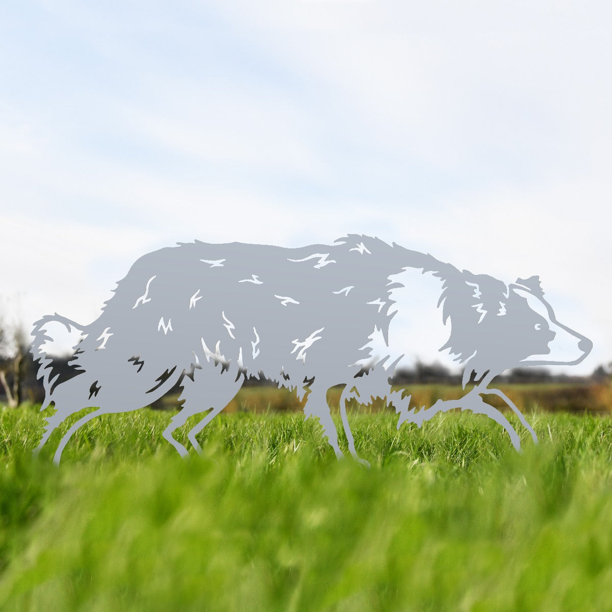 Border Collie Sheepdog Garden Sheet Steel Silhouette In Silver