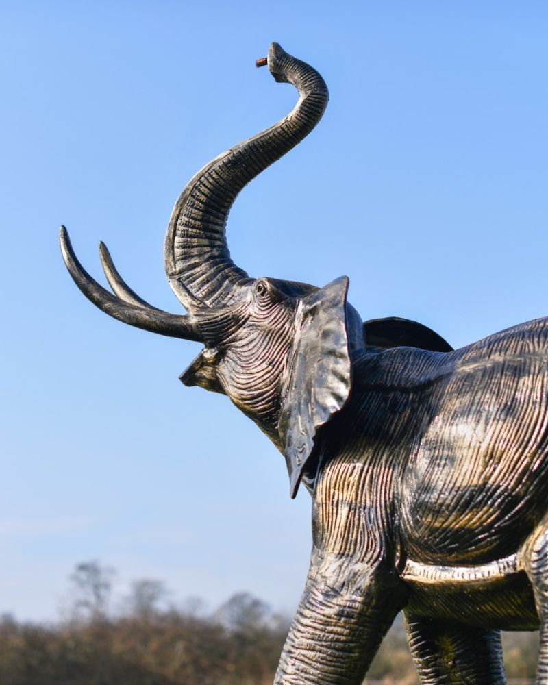 Magnified view of the elephant head and trunk