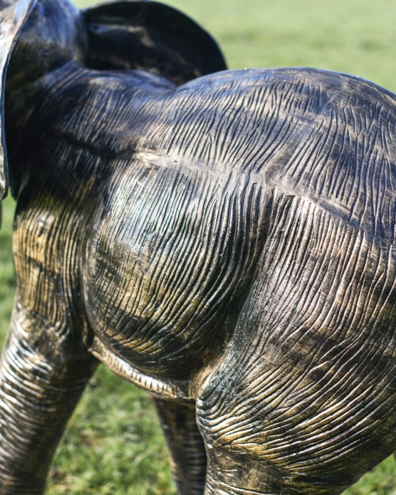 Close up of the textured back