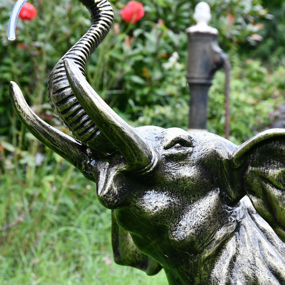 Side profile of the elephant calf head