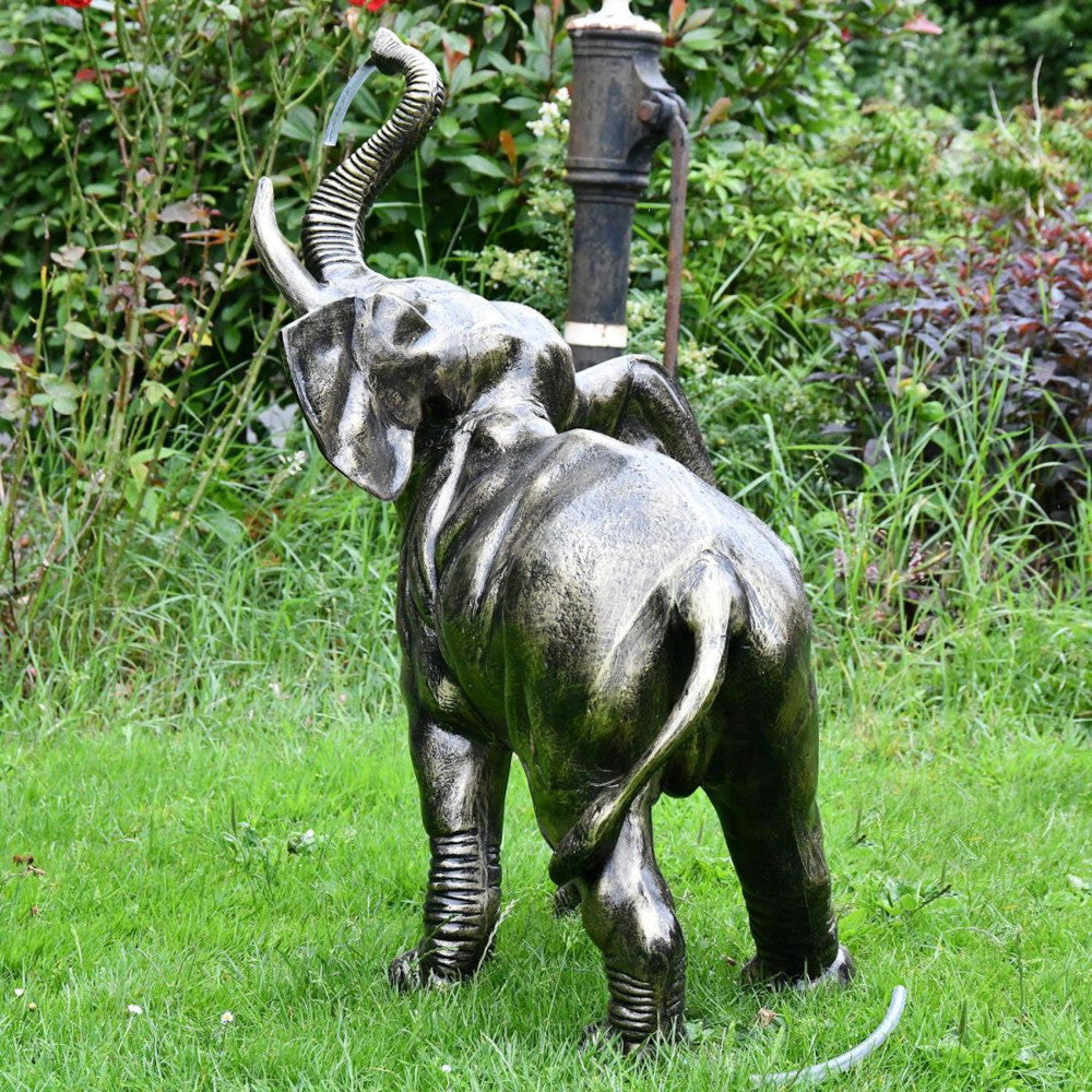 View of the elephant back
