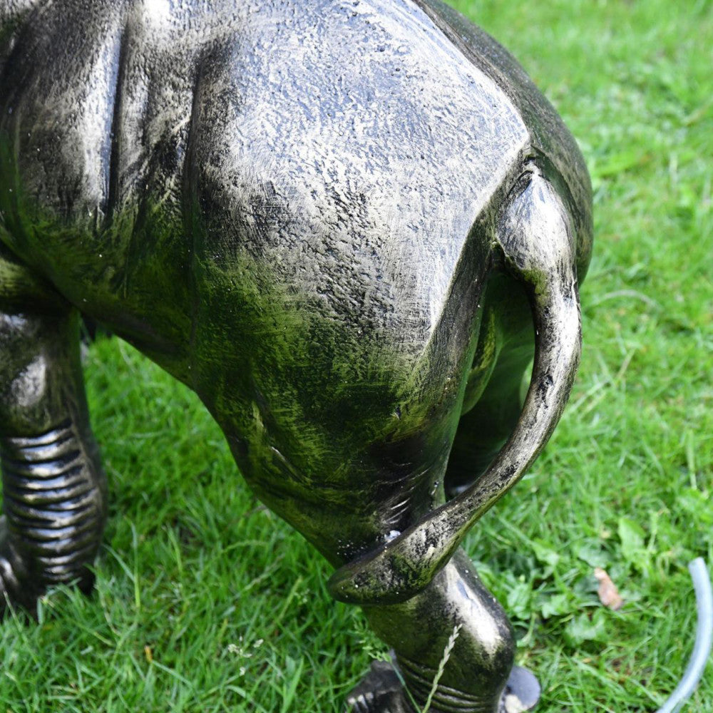 Close up of the elephant tail