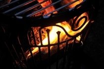 Burning log burner