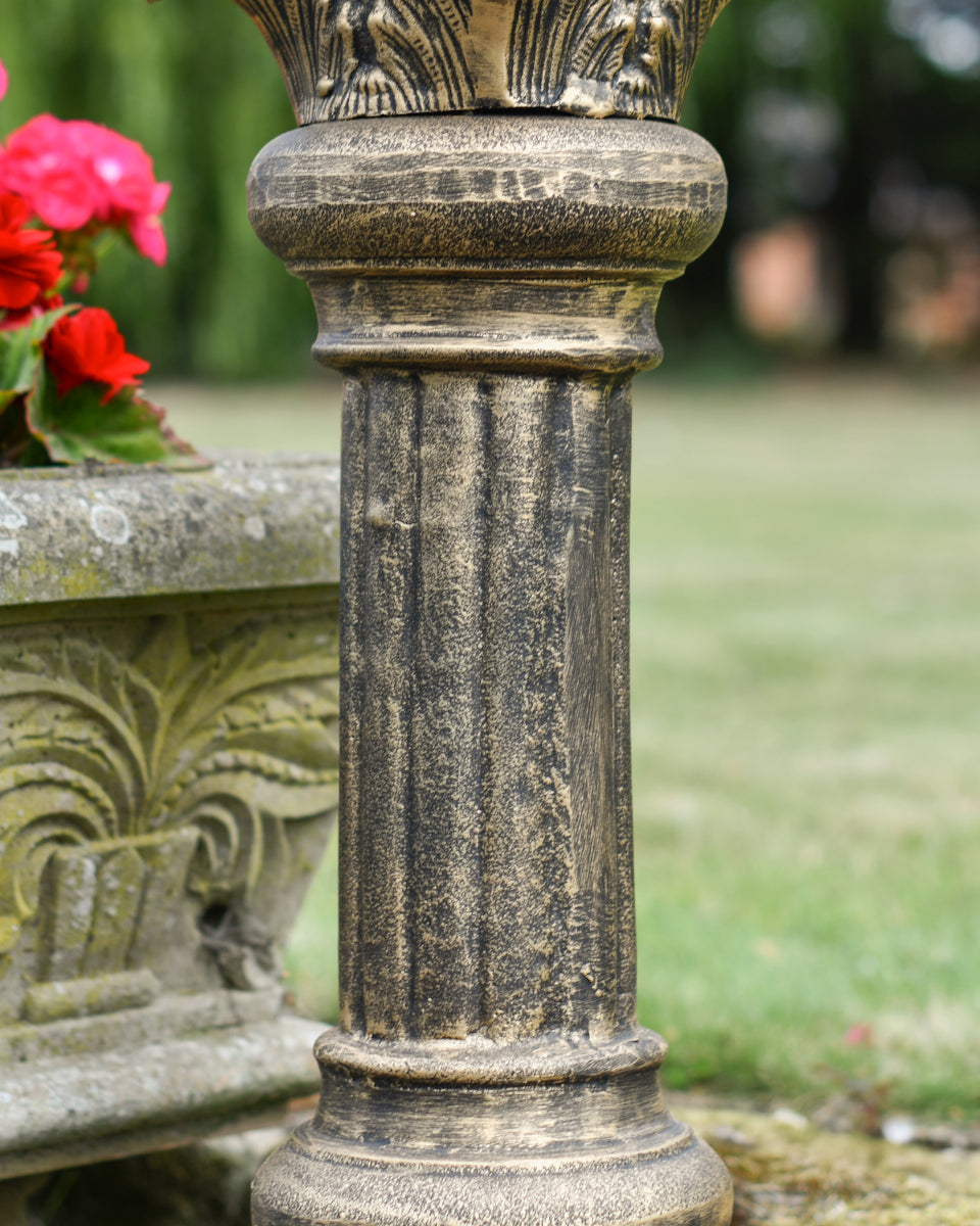 Magnified view of the central column