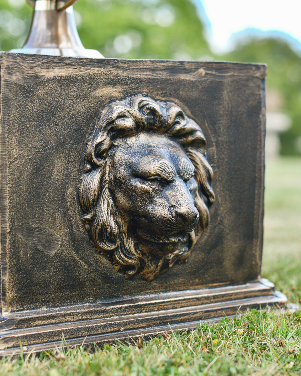 Close up of the lion head