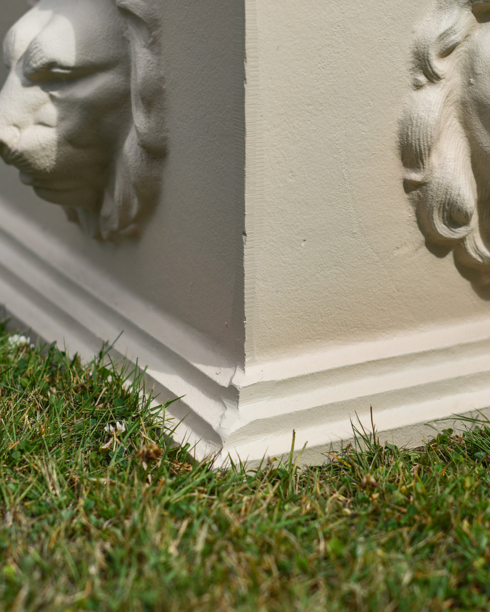 Close up of the rigid edge 