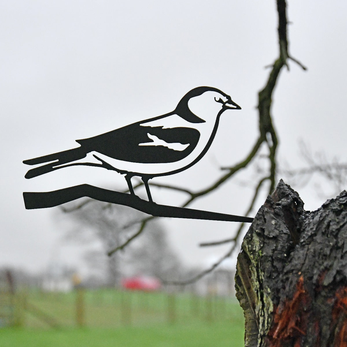 Chaffinch Garden Sheet Steel Tree Spike In Black