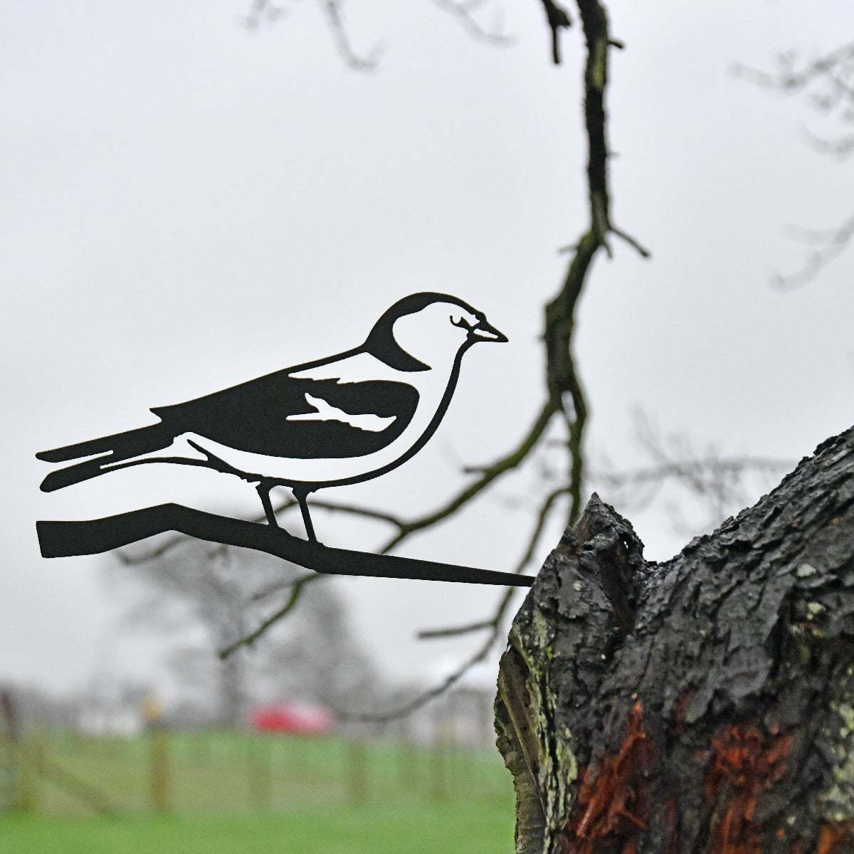 Chaffinch Garden Sheet Steel Tree Spike In Black