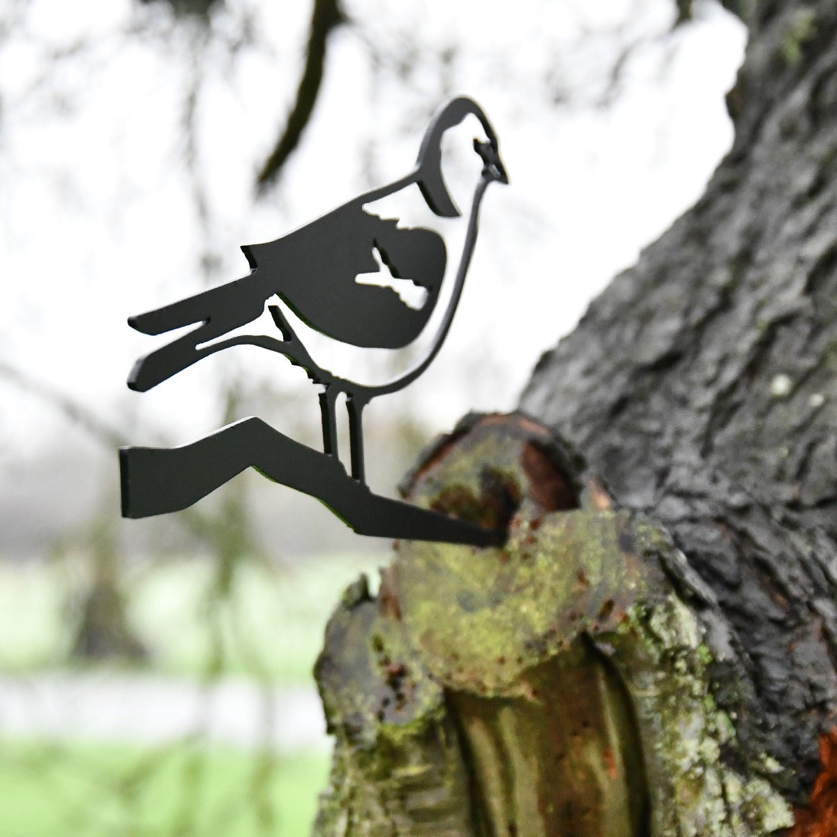 Chaffinch Garden Sheet Steel Tree Spike In Black