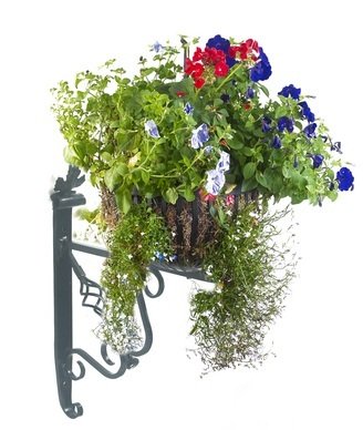 Clarence Hanging Basket