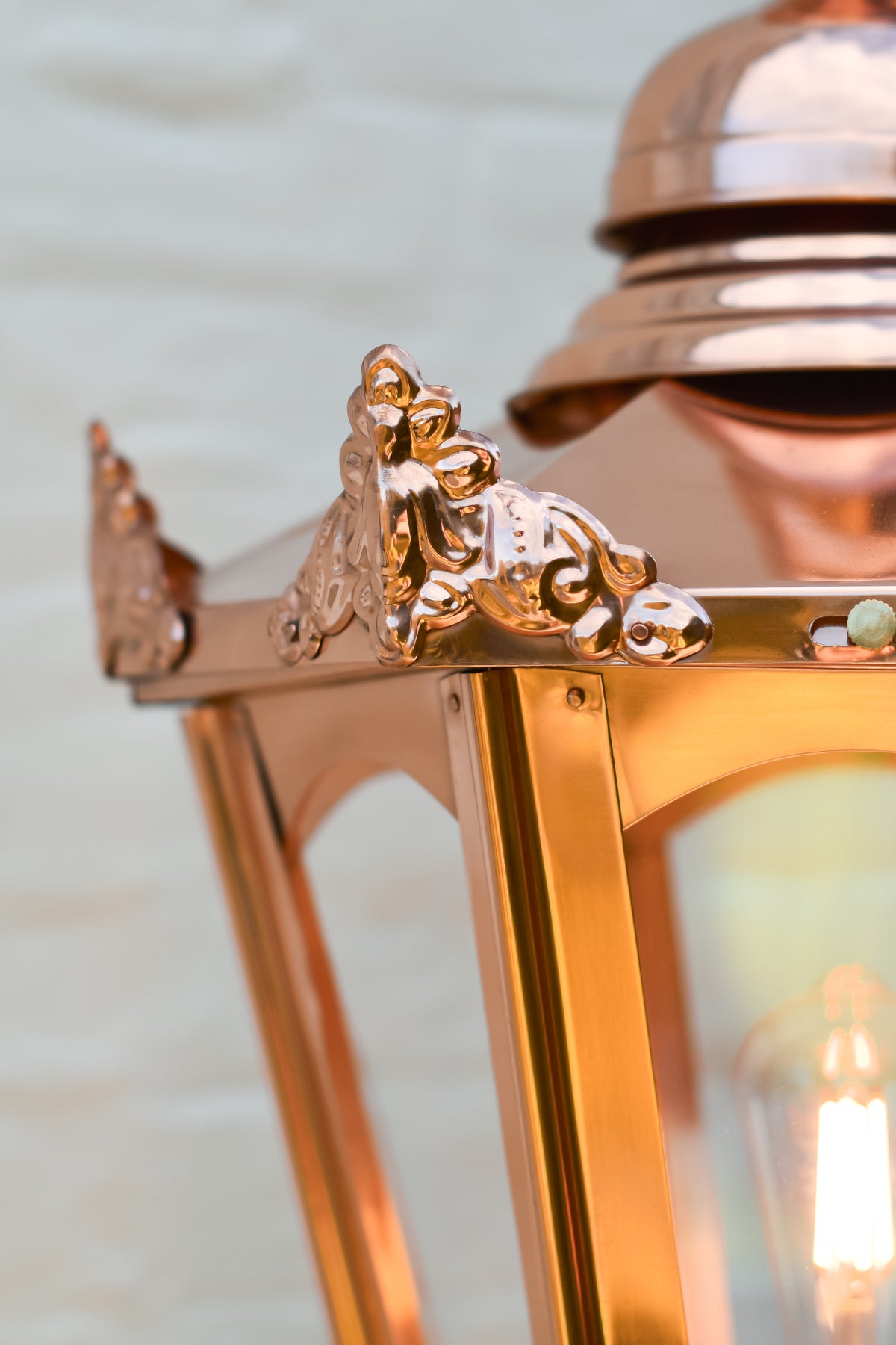 Close up of the embossed regal edges