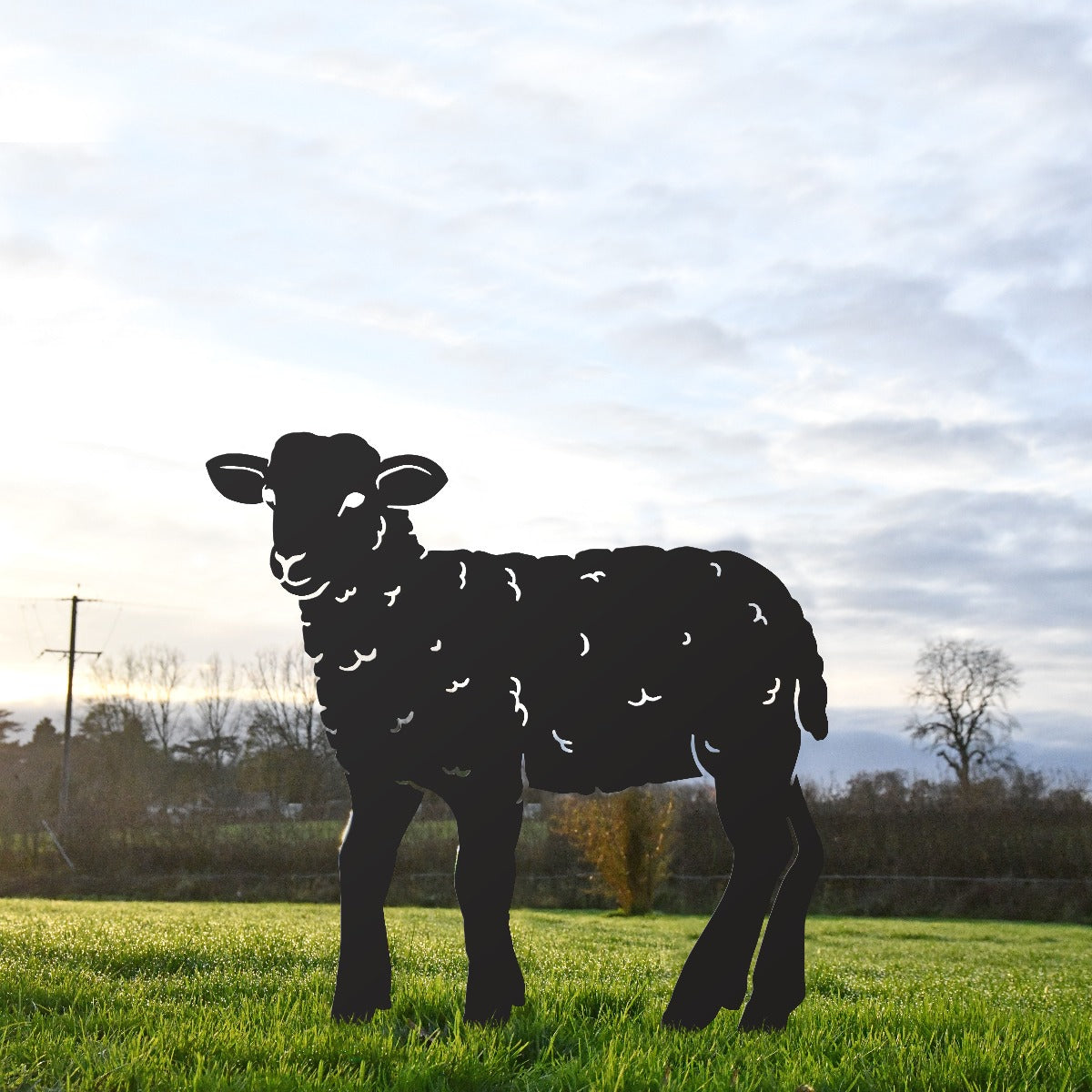 Black Curly Lamb Sheet Steel Silhouette In Garden Setting