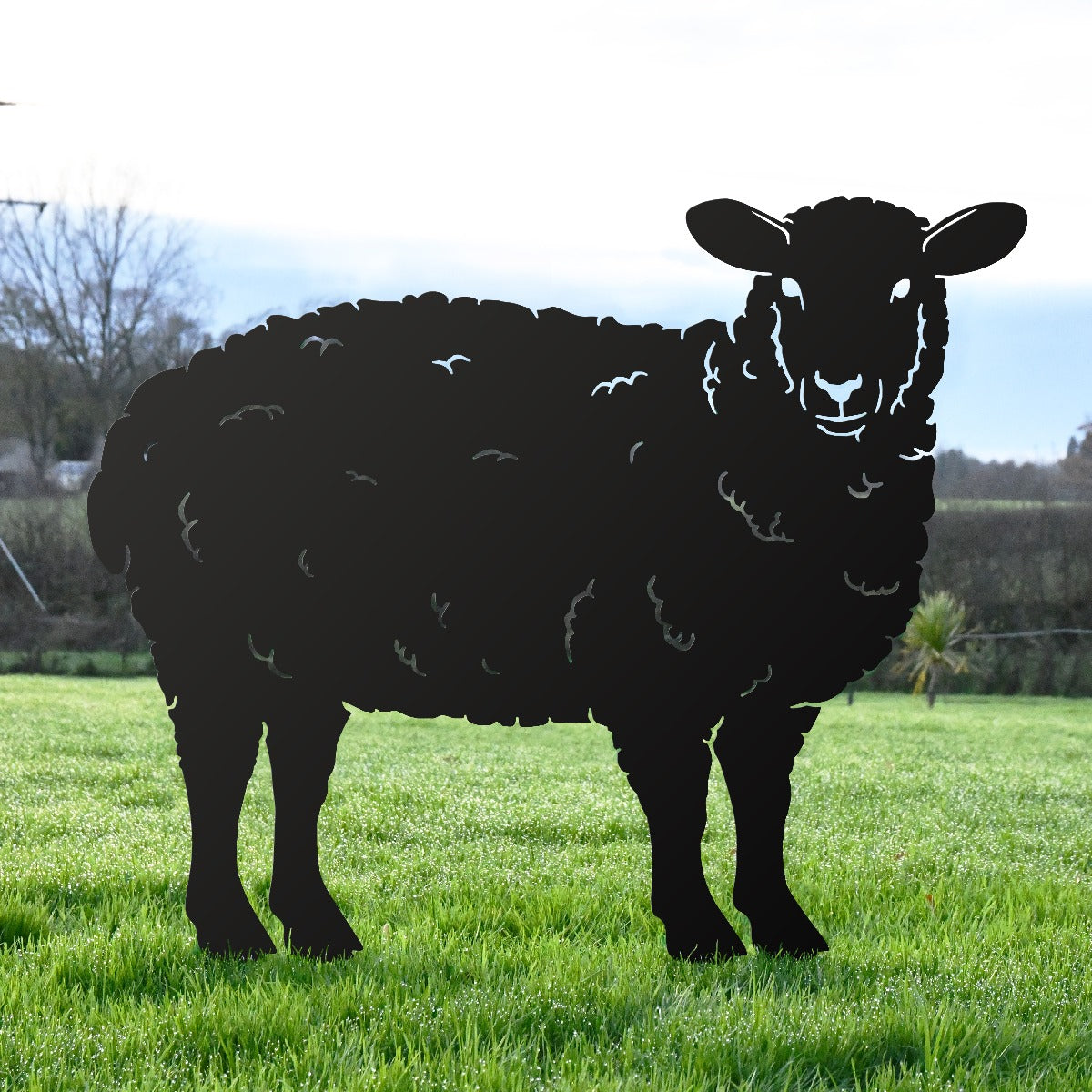 Curly Sheep Garden Sheet Steel Silhouette In Black