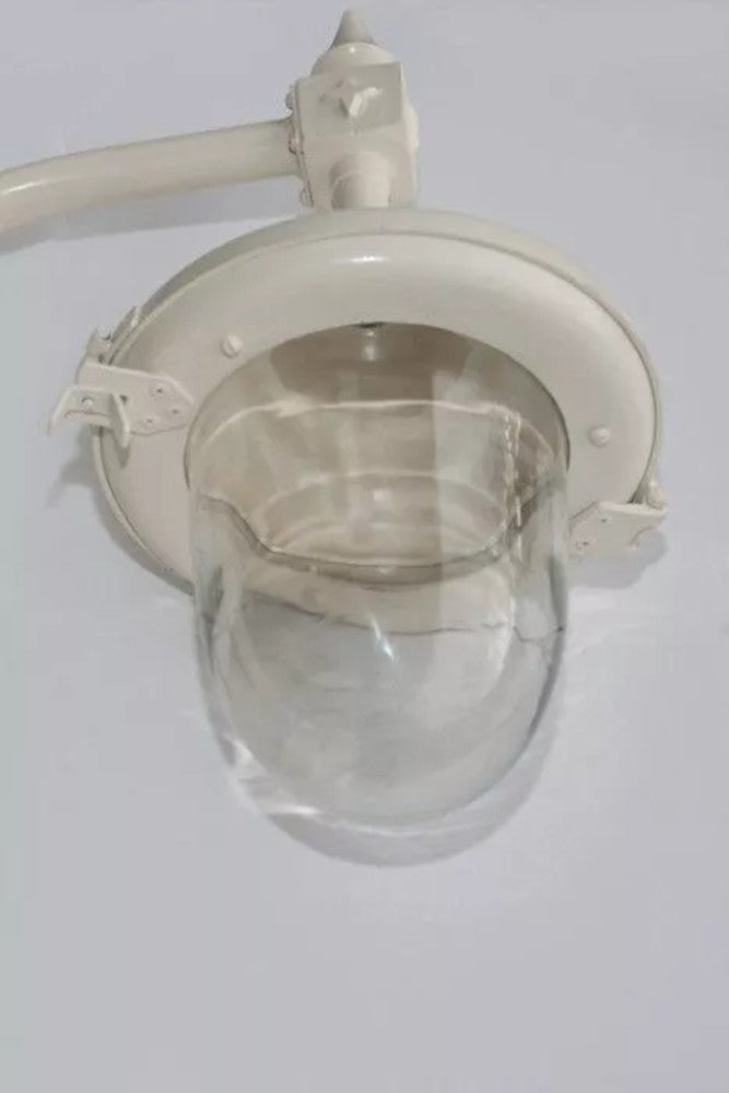 Close up of the cream lantern head 