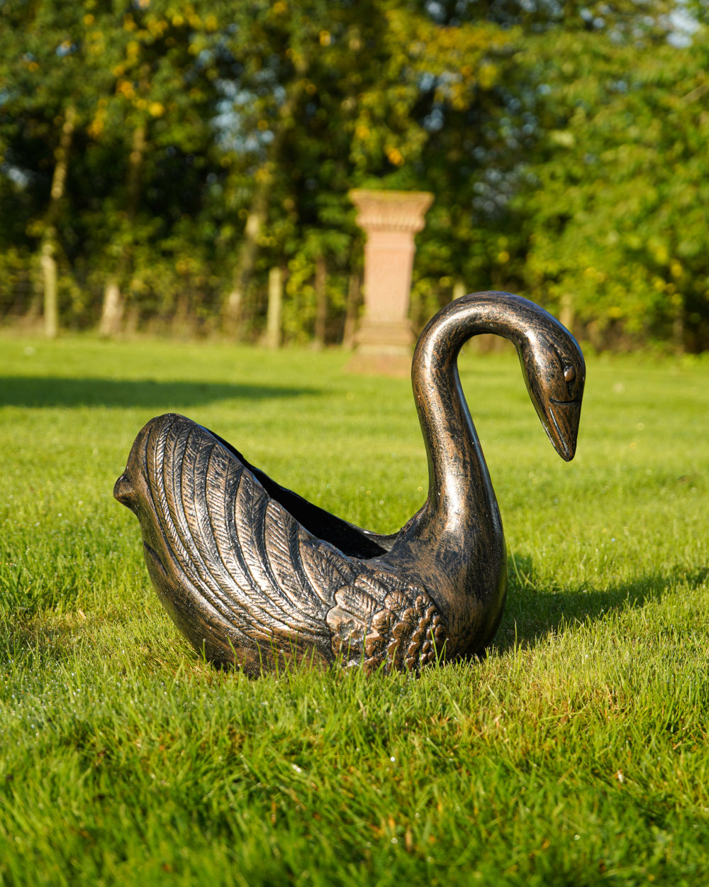 Outdoor swan