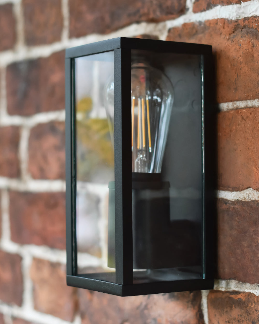 Box garden light 
